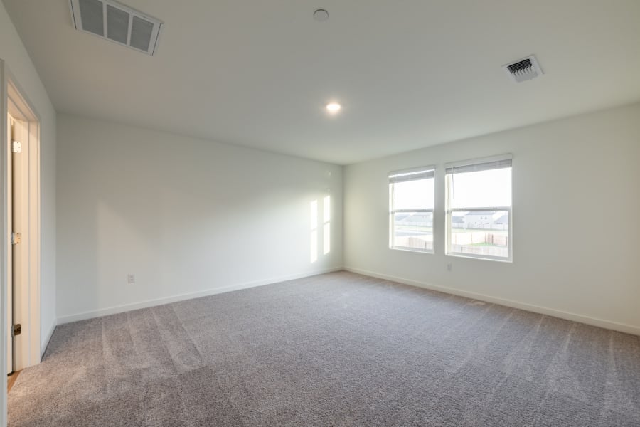 A room with a carpet and windows.