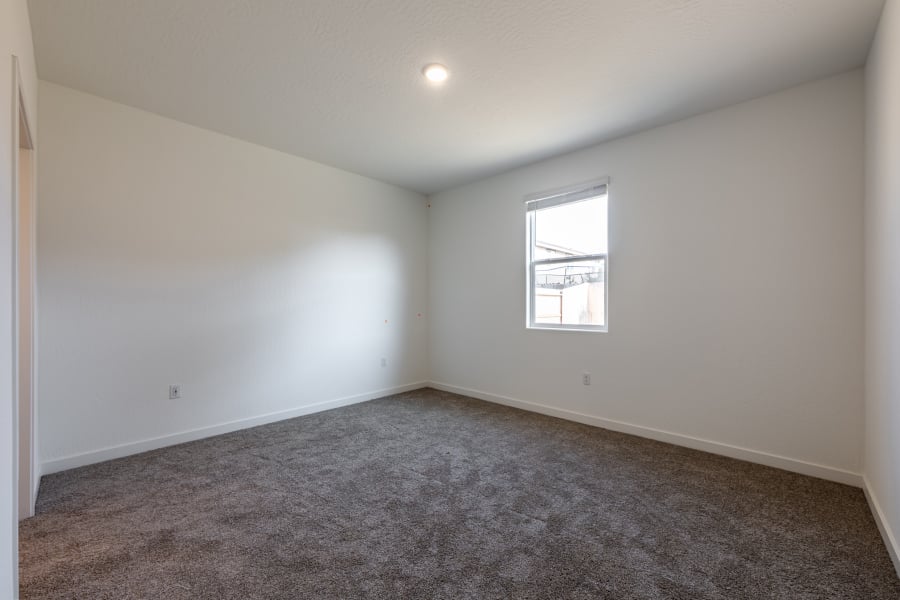 A room with a carpet and a window.