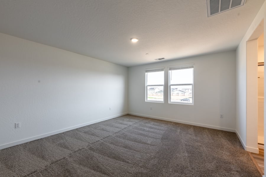 A room with a carpet and windows.