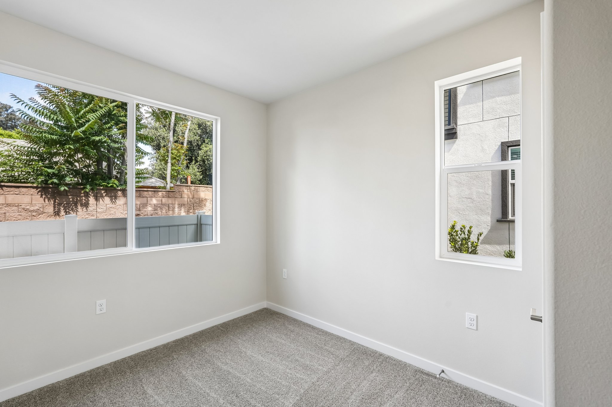 A room with windows and a rug.