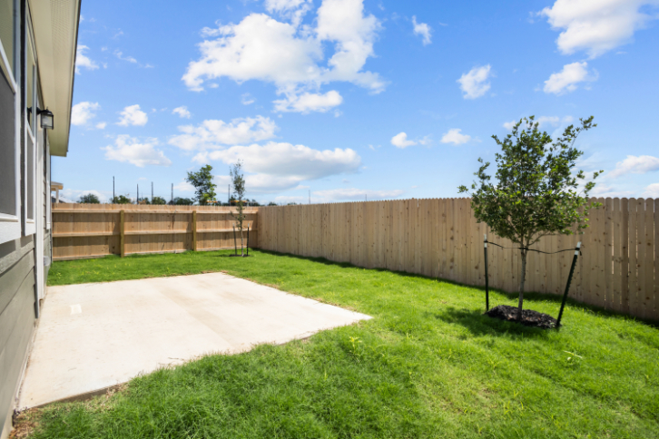 A backyard with a fence and a tree.