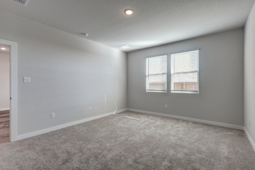 A room with a carpet and windows.